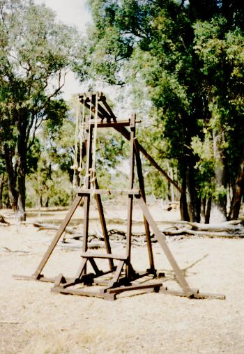 A portrait of Quasimodo the Traction Trebuchet .... photo by Trish Lambert