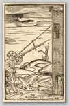 ad02048_036a.jpg