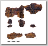 figure_5.jpg