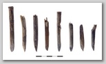 figure_7.jpg